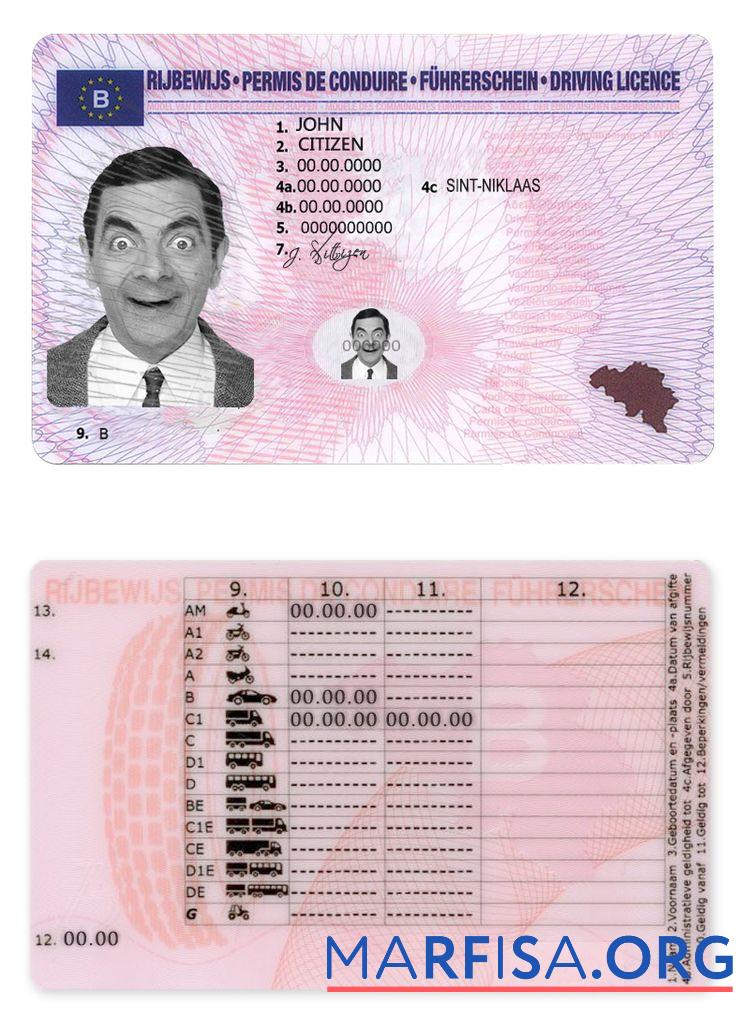 Blank Belgium driving license sample